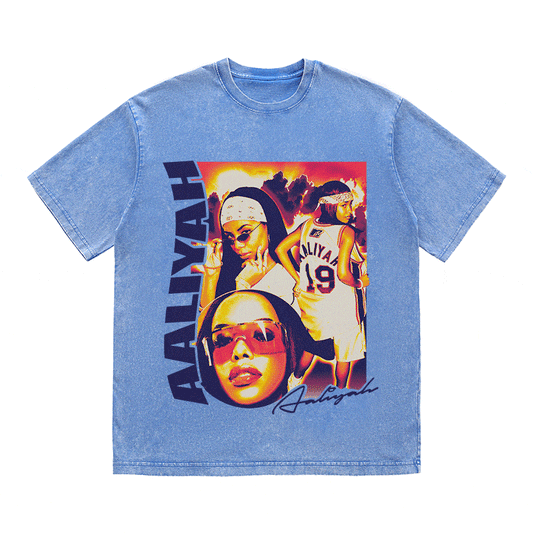 AALIYAH HEAVY WEIGHT COTTON TEE-9029
