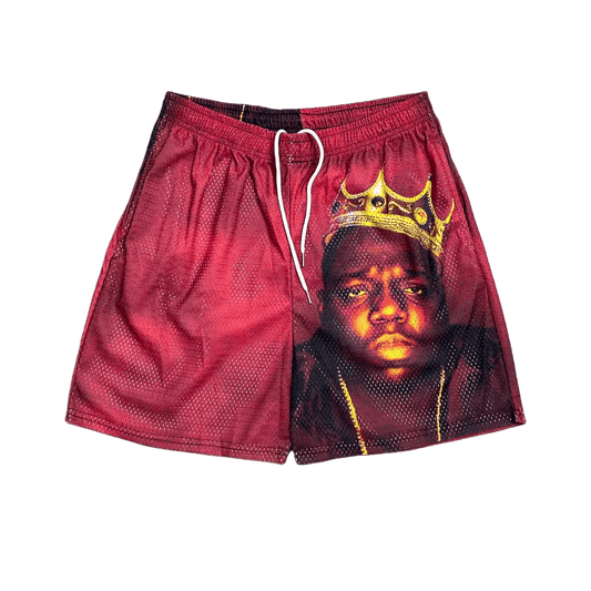 BIGGIE MESH SHORTS-8740