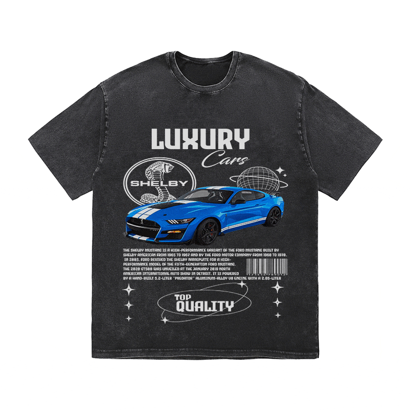 SHELBY HEAVY WEIGHT COTTON TEE-9111