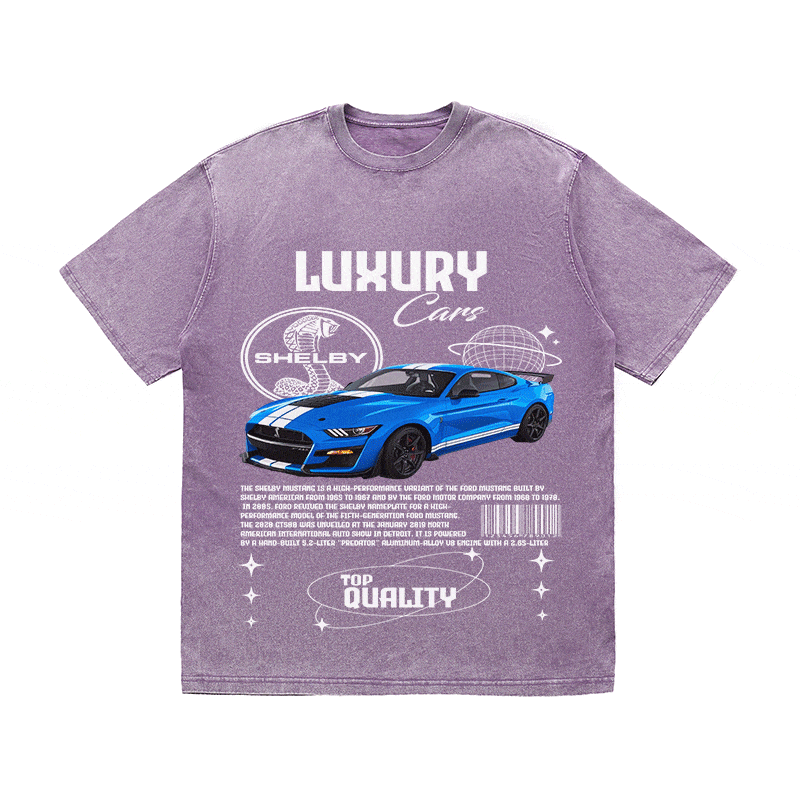 SHELBY HEAVY WEIGHT COTTON TEE-9111