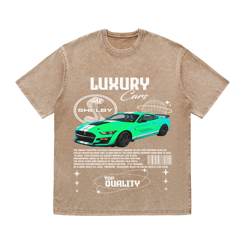 SHELBY HEAVY WEIGHT COTTON TEE-9112