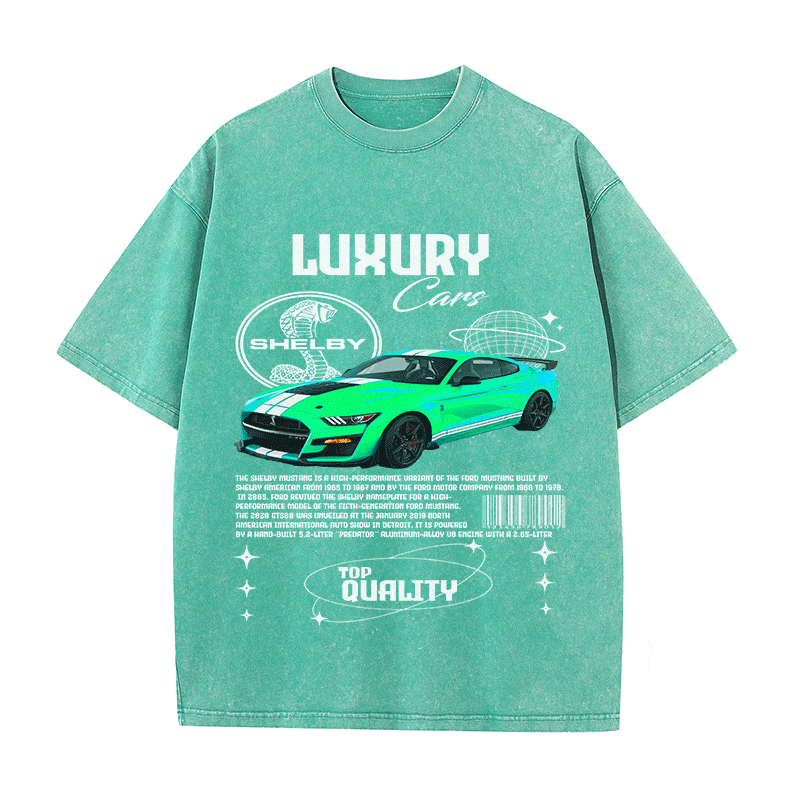 SHELBY HEAVY WEIGHT COTTON TEE-9112