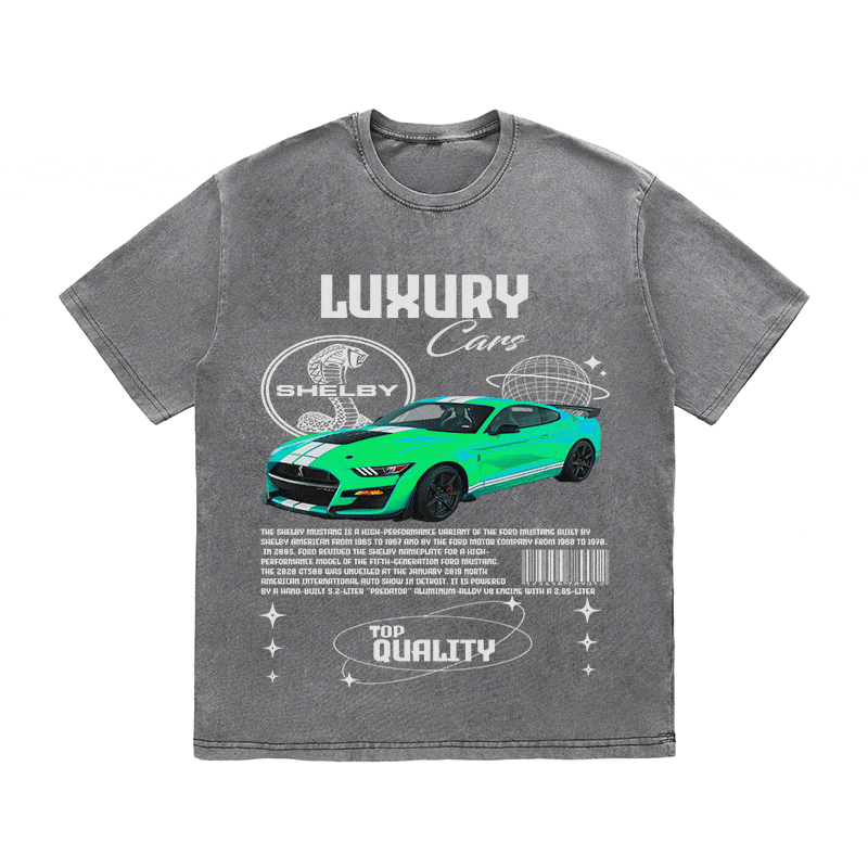 SHELBY HEAVY WEIGHT COTTON TEE-9112