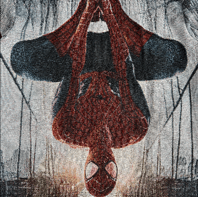 SPIDER V3 TAPESTRY TEE